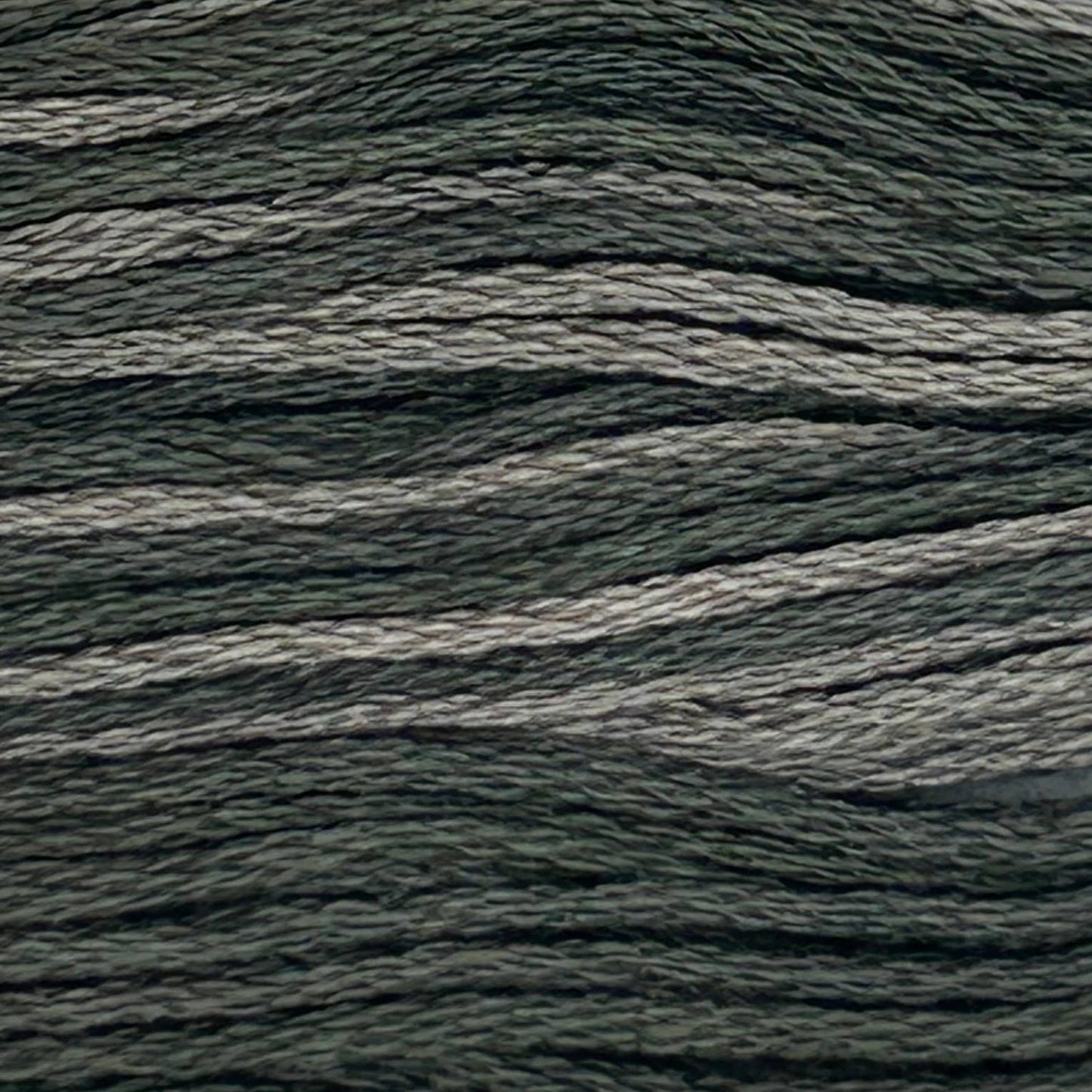 BG17 Black Walnut