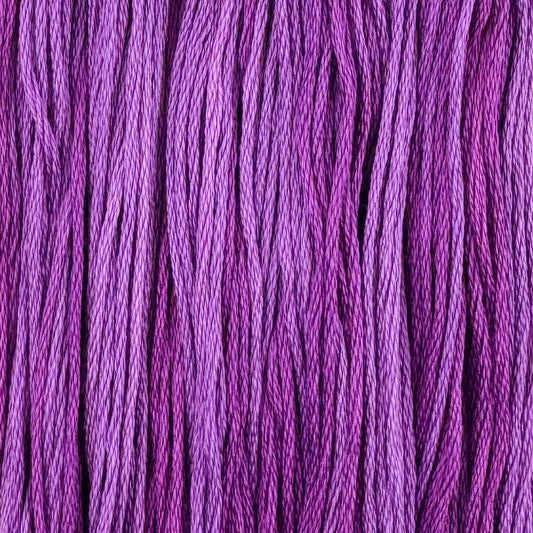 Andromeda (Limited Edition)
