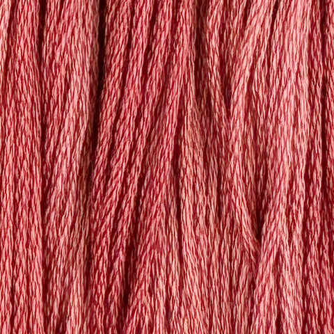 Antique Rose