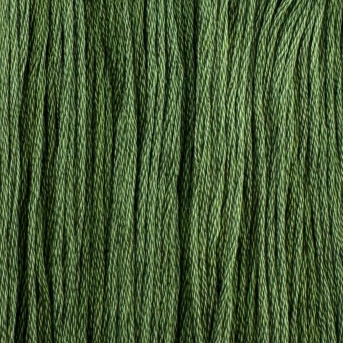 Asparagus