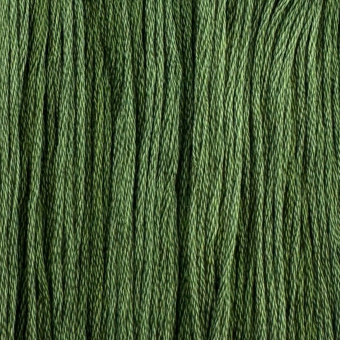 Asparagus