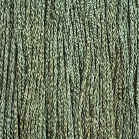 Barnacle (Limited Edition)