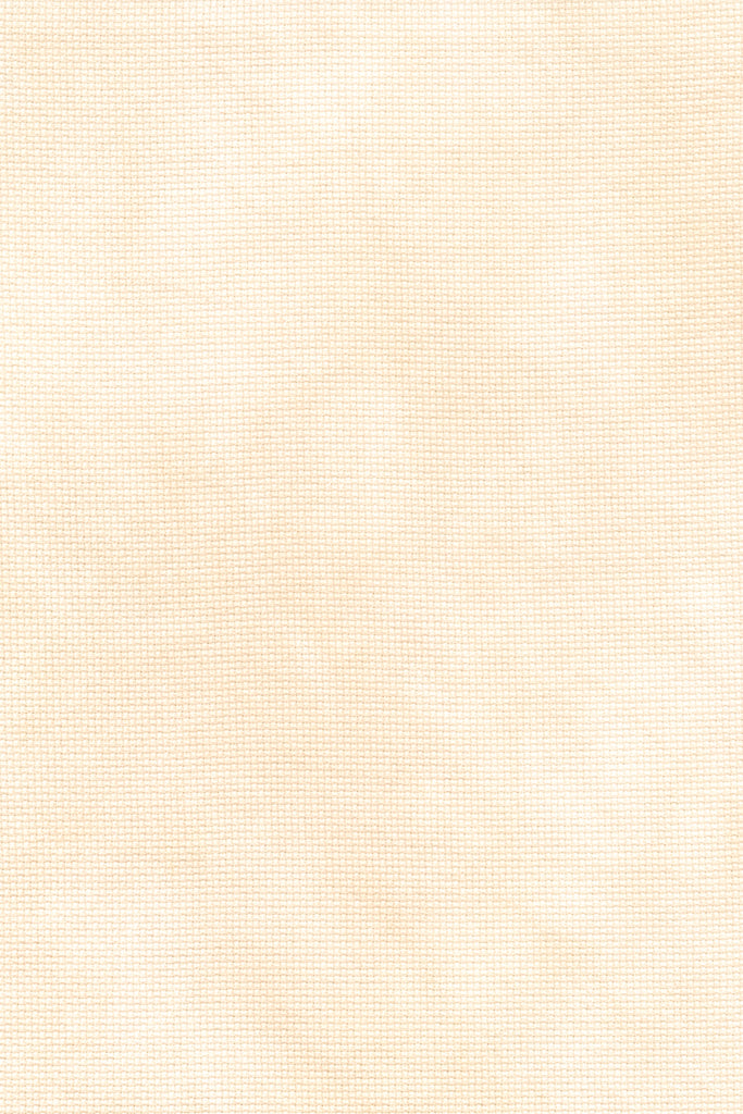 Beachcomber Pale