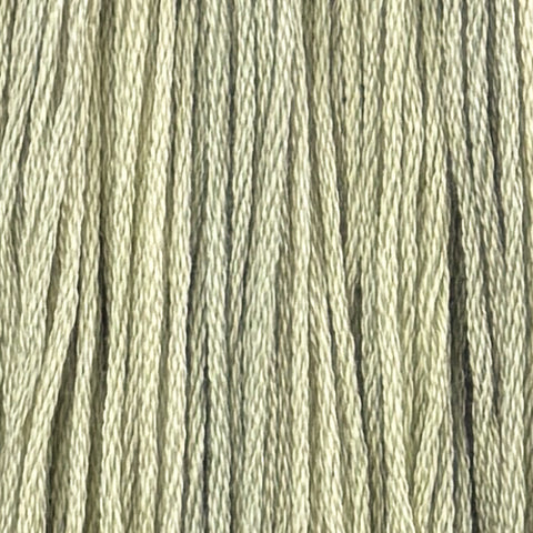 Beansprout (Limited Edition)