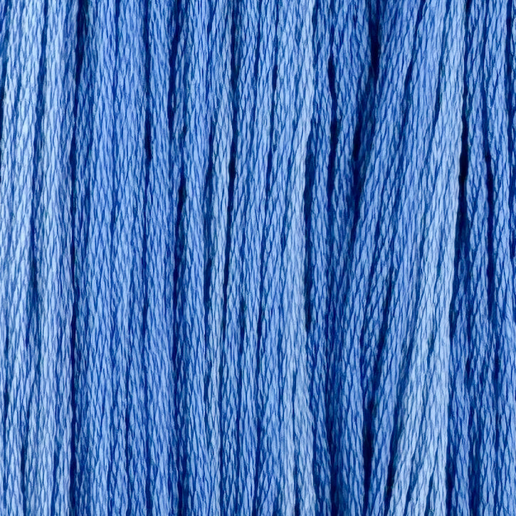 Blue Jay
