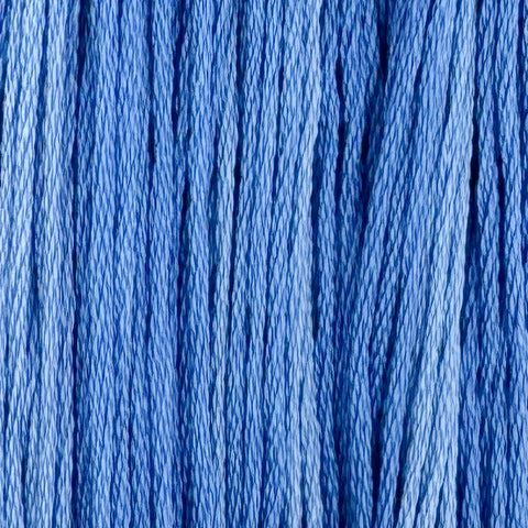 Blue Jay