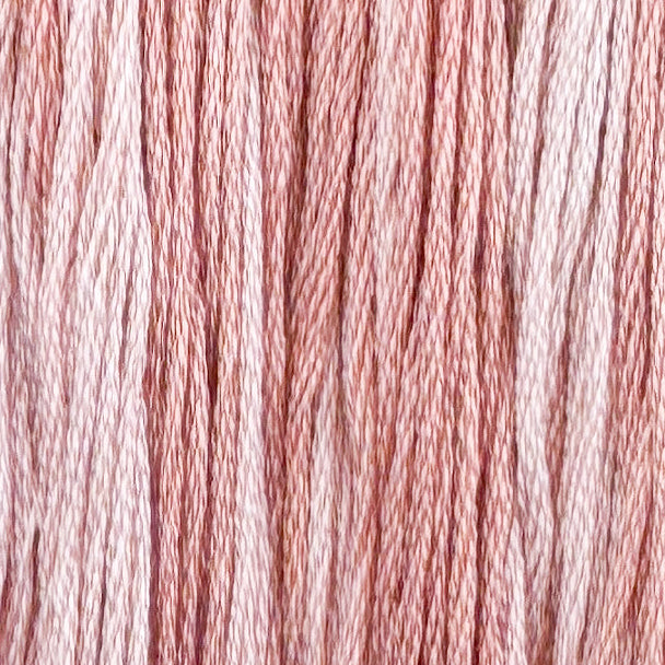 Briar Rose
