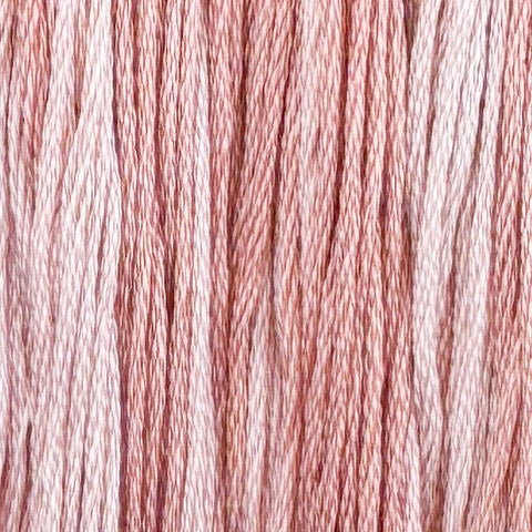 Briar Rose