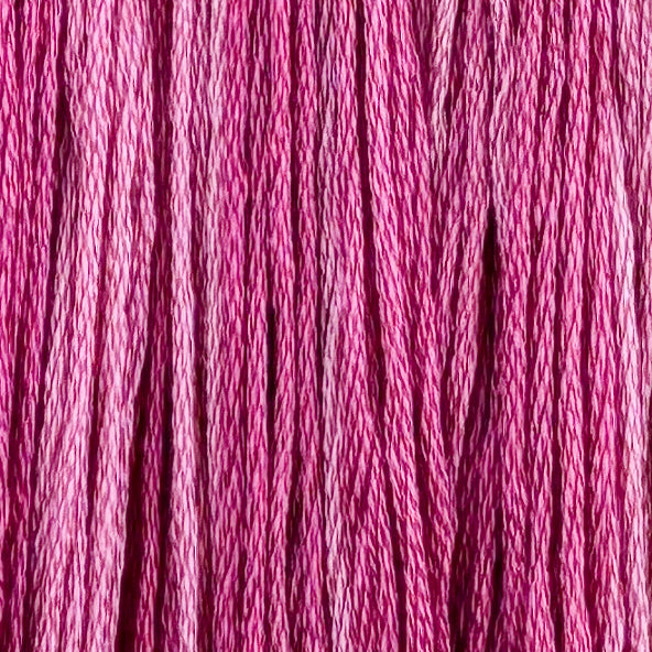 Bubblegum (Limited Edition)