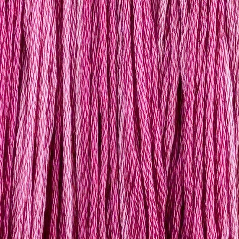 Bubblegum (Limited Edition)