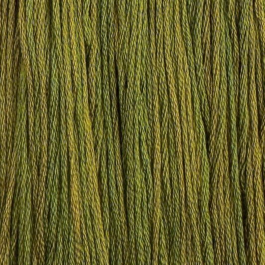 Bullfrog (Limited Edition)