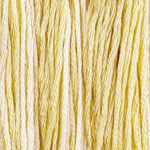 Buttered Biscuit (Limited Edition)