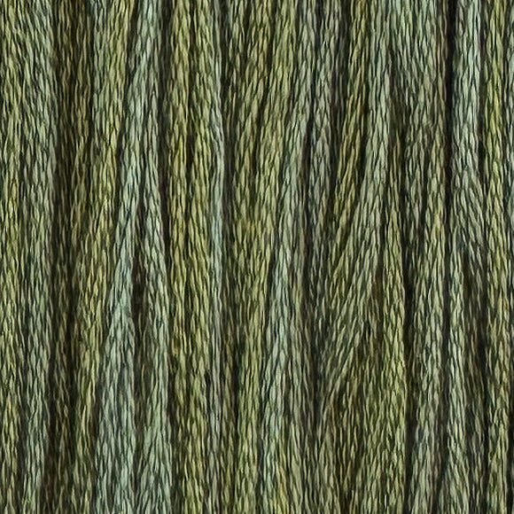 Catnip (Limited Edition)
