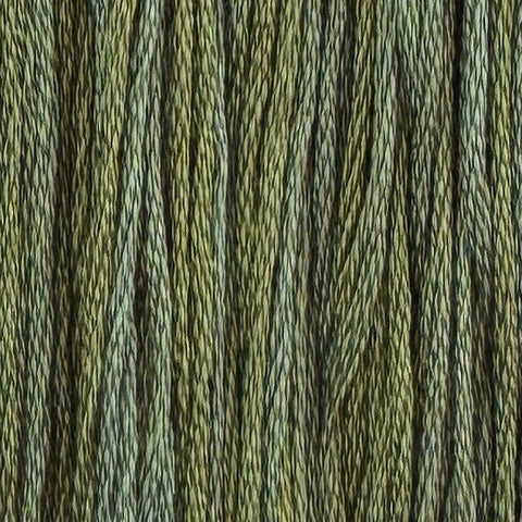Catnip (Limited Edition)