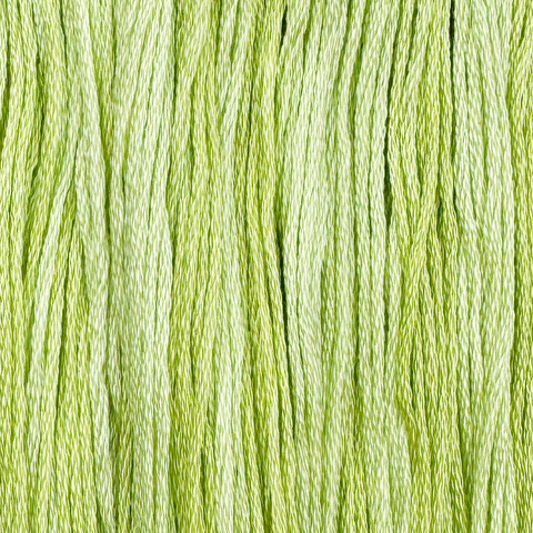 Celery