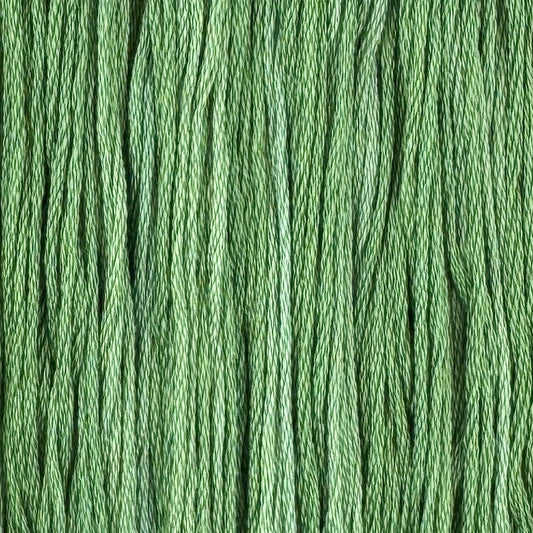 Chives (Limited Edition)