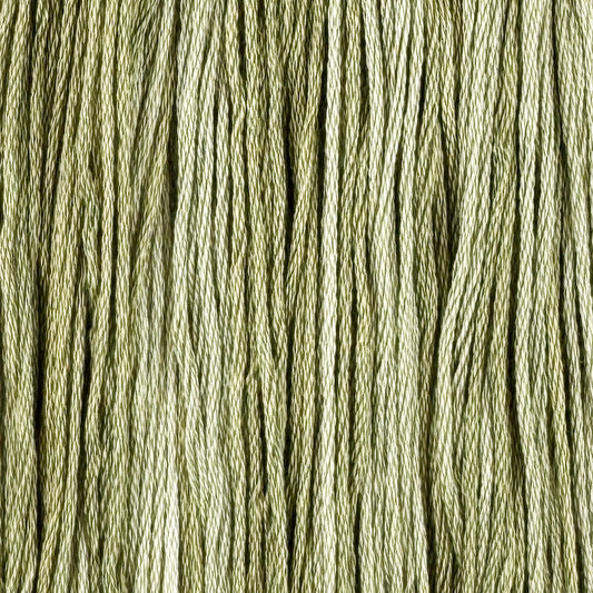 Clary Sage (Limited Edition)