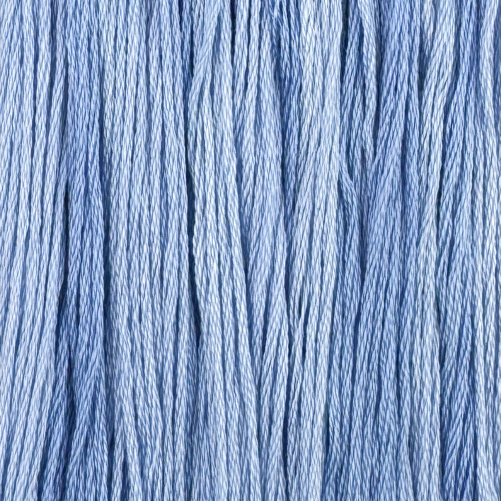 Cornflower