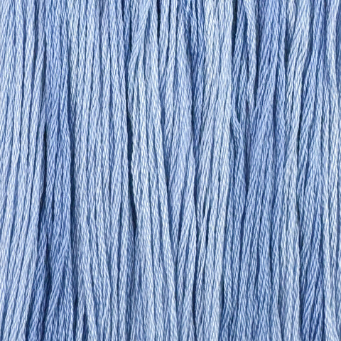 Cornflower