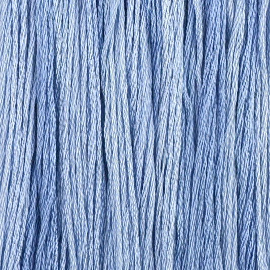 Cornflower