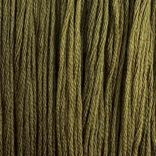 Dill (Limited Edition)