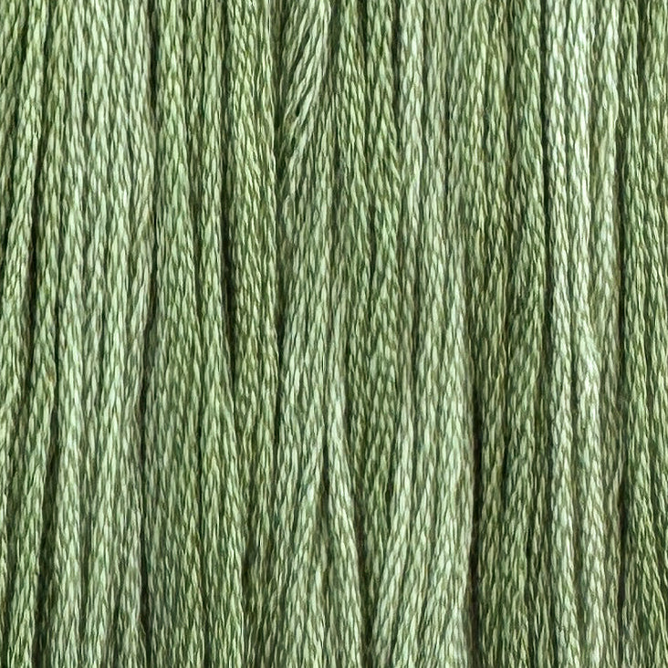 Edamame (Limited Edition)
