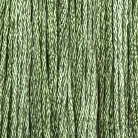 Edamame (Limited Edition)