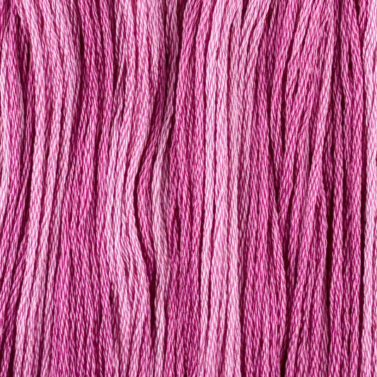 En Pointe (Limited Edition)