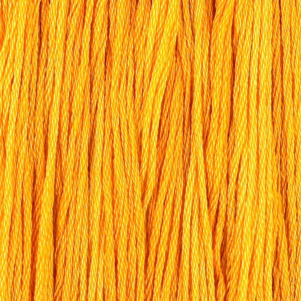 Firefly (Limited Edition)