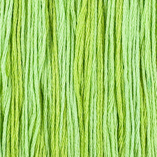 Fluorescent (Limited Edition)