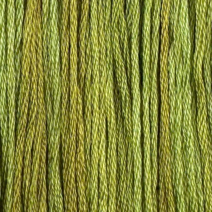 Gecko (Limited Edition)