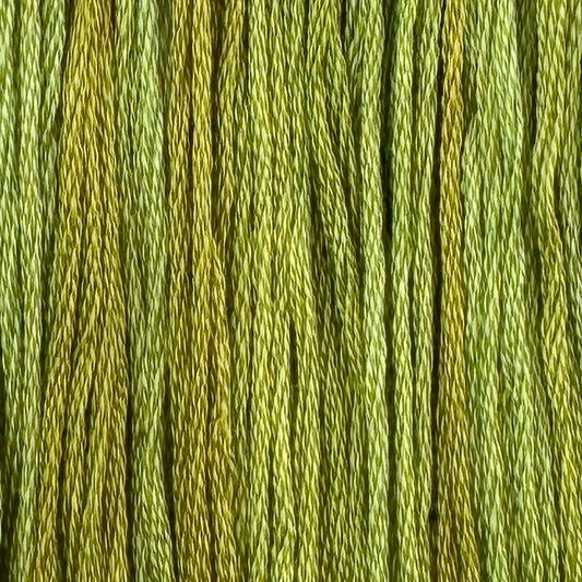 Gecko (Limited Edition)