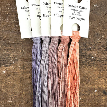 Gradient Thread Set Ghostly Garden