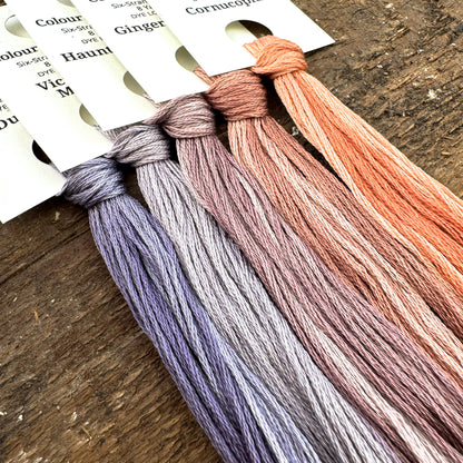 Gradient Thread Set Ghostly Garden