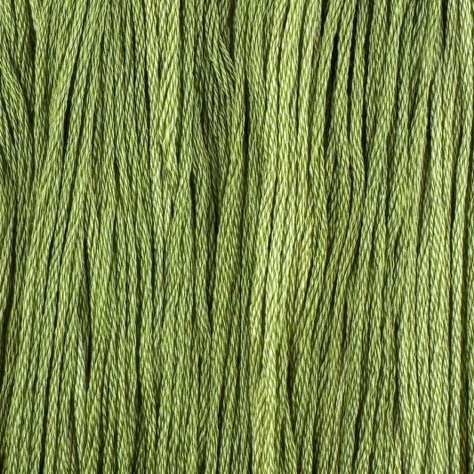 Grass (Limited Edition)