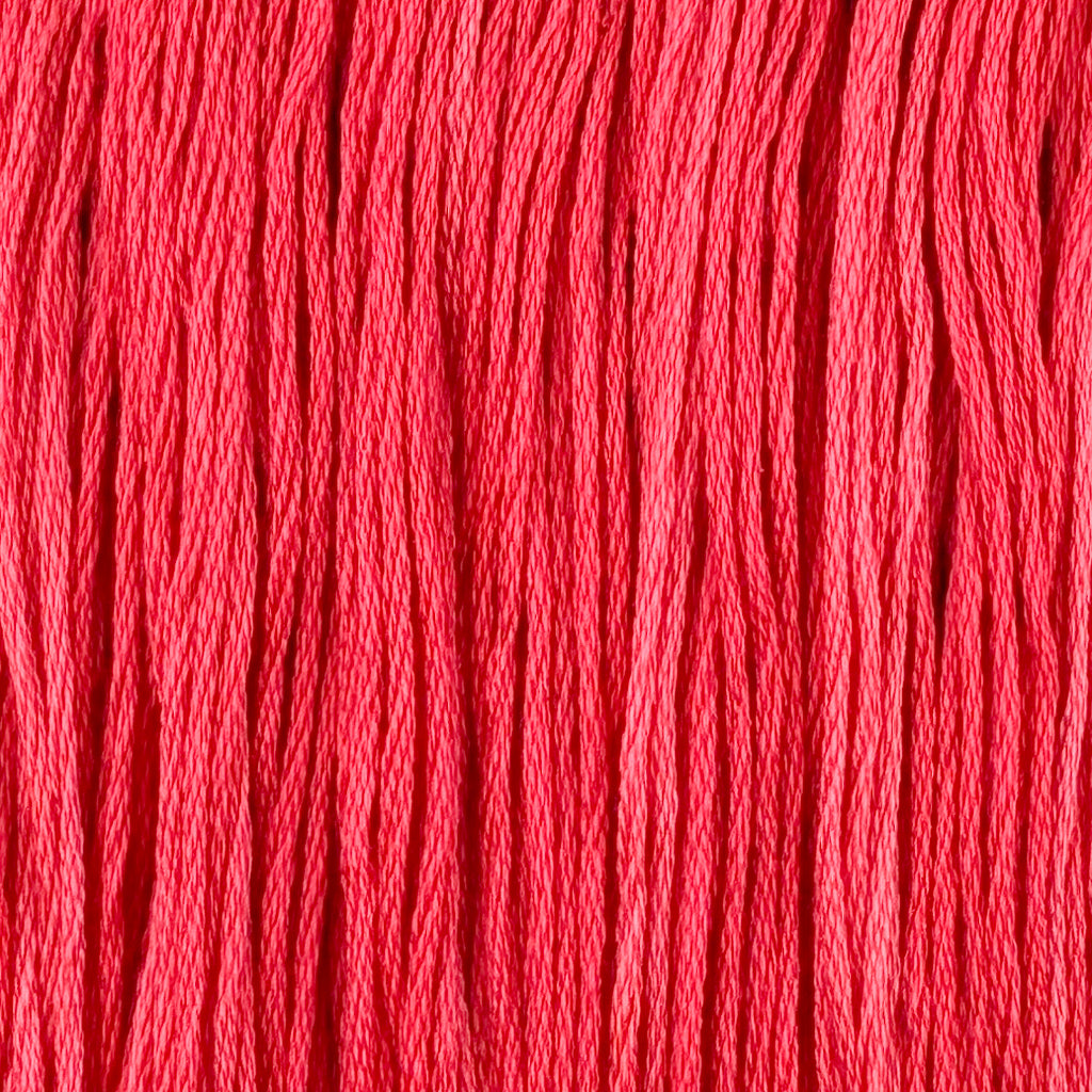Hula (Limited Edition)