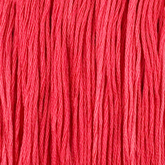 Hula (Limited Edition)