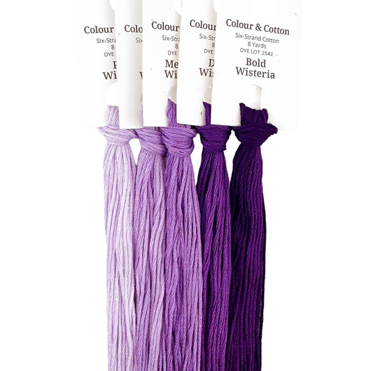 Gradient Thread Set Wisteria