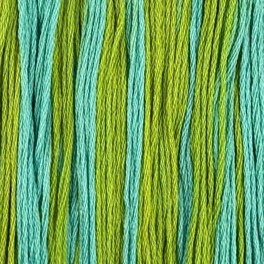 Iguana (Limited Edition)