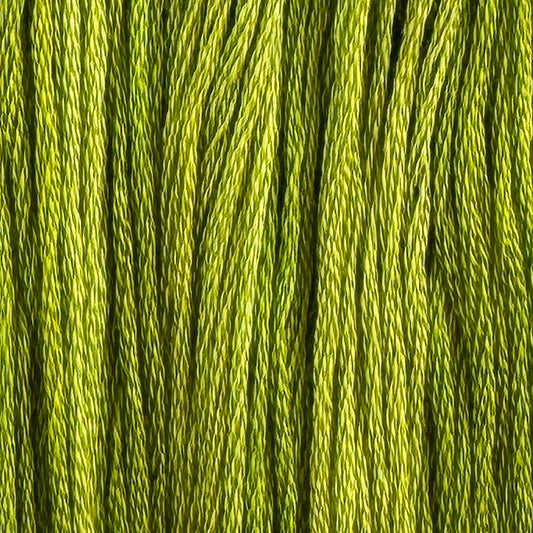 Kraken (Limited Edition)