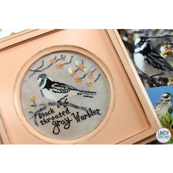 Black-Throated Gray Warbler Pattern