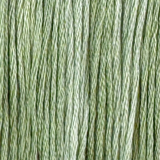 Luna Moth (Limited Edition)