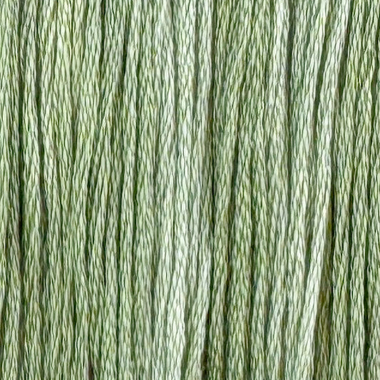 Luna Moth (Limited Edition)