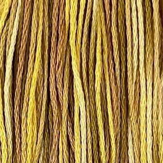 M81 Backyard Honeycomb