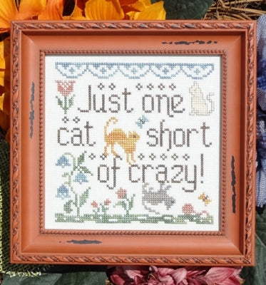 Cat Crazy Pattern