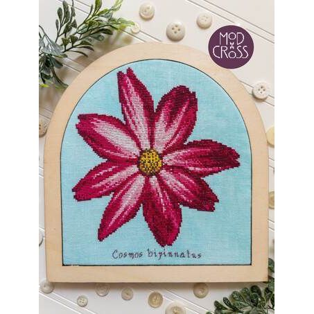 Cosmo Bloom Pattern