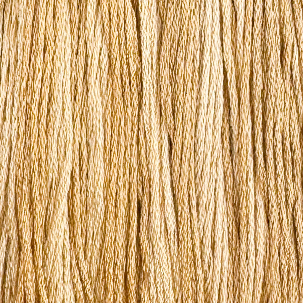 Maple Latte (Limited Edition)