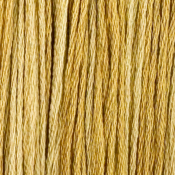 Modern Citrus (Limited Edition)
