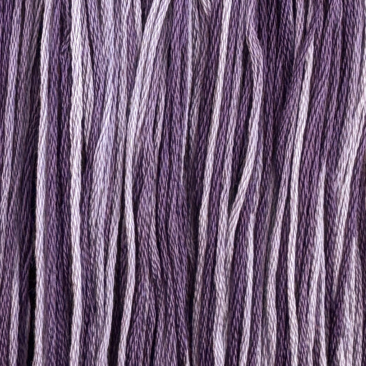 Moonshadow (Limited Edition)