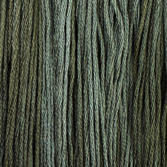 Mossy Root (Limited Edition)